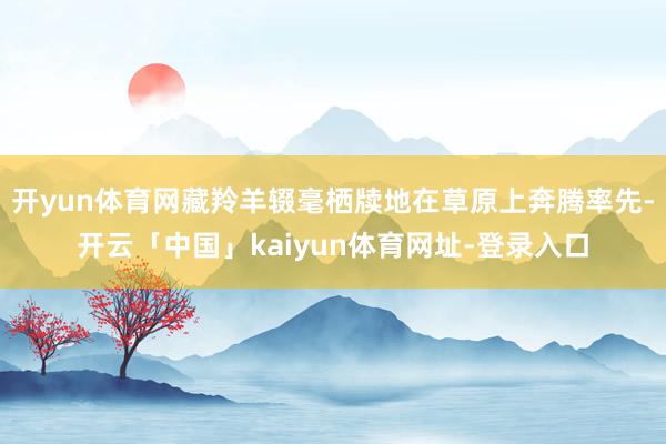 开yun体育网藏羚羊辍毫栖牍地在草原上奔腾率先-开云「中国」kaiyun体育网址-登录入口