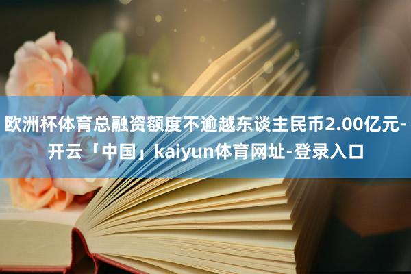 欧洲杯体育总融资额度不逾越东谈主民币2.00亿元-开云「中国」kaiyun体育网址-登录入口