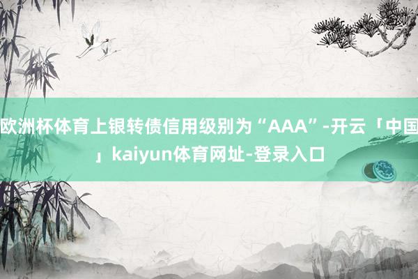 欧洲杯体育上银转债信用级别为“AAA”-开云「中国」kaiyun体育网址-登录入口