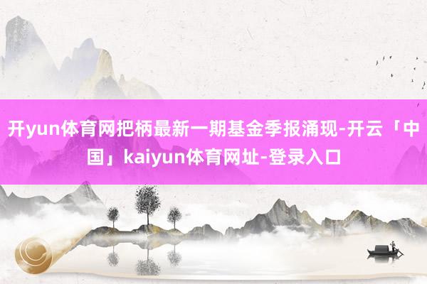 开yun体育网把柄最新一期基金季报涌现-开云「中国」kaiyun体育网址-登录入口