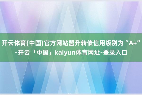 开云体育(中国)官方网站盟升转债信用级别为“A+”-开云「中国」kaiyun体育网址-登录入口