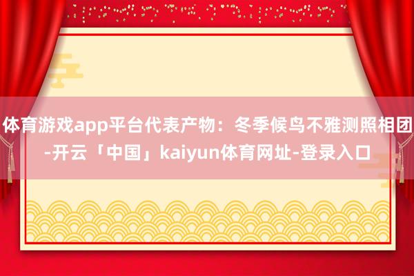 体育游戏app平台代表产物：冬季候鸟不雅测照相团-开云「中国」kaiyun体育网址-登录入口